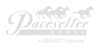 Pacesetter logo.